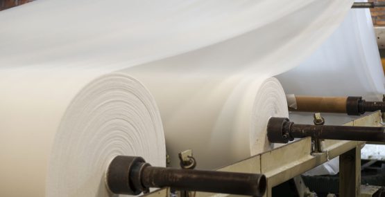 Pulp-&-Paper